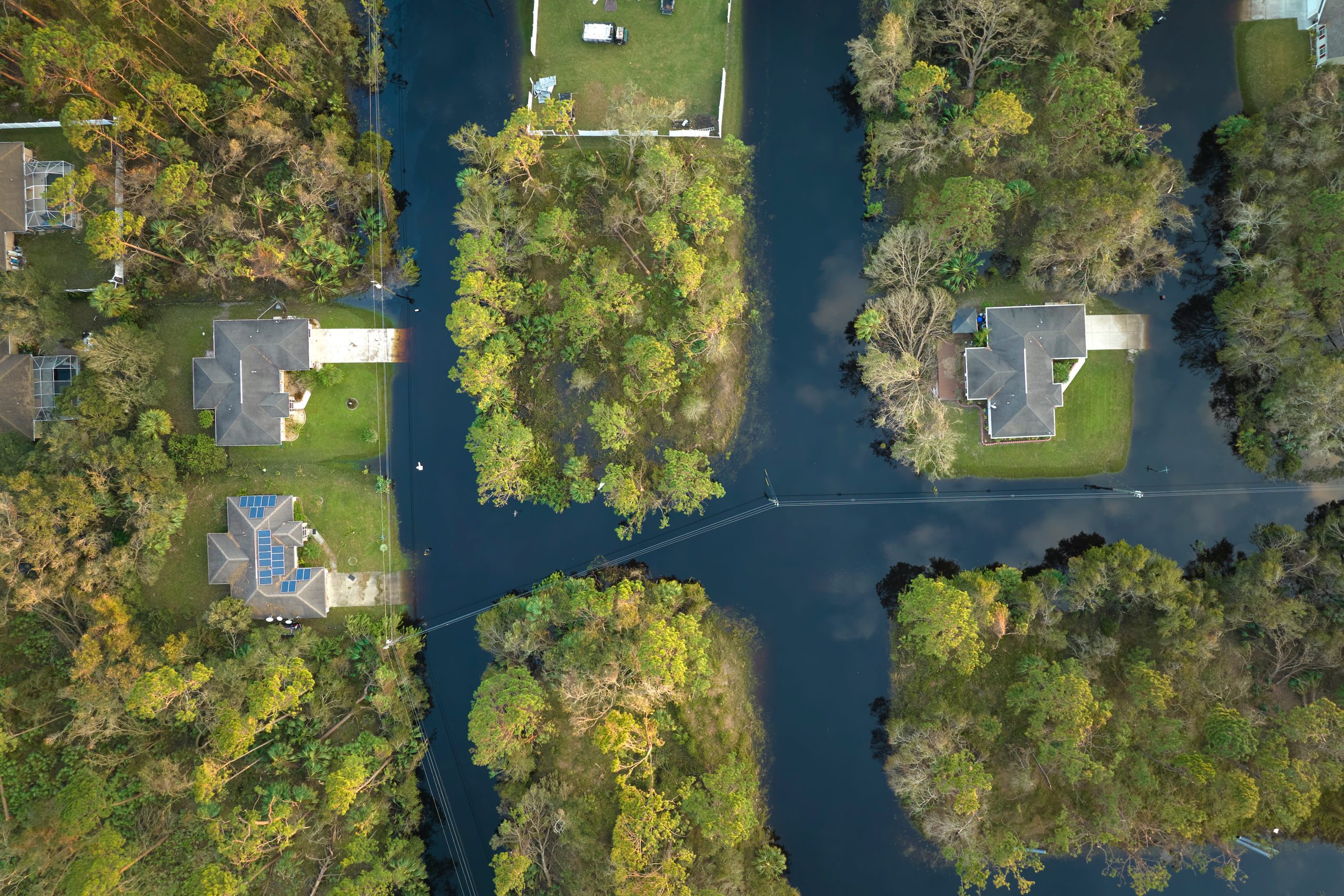 How Solar Energy Passed the Hurricane Test