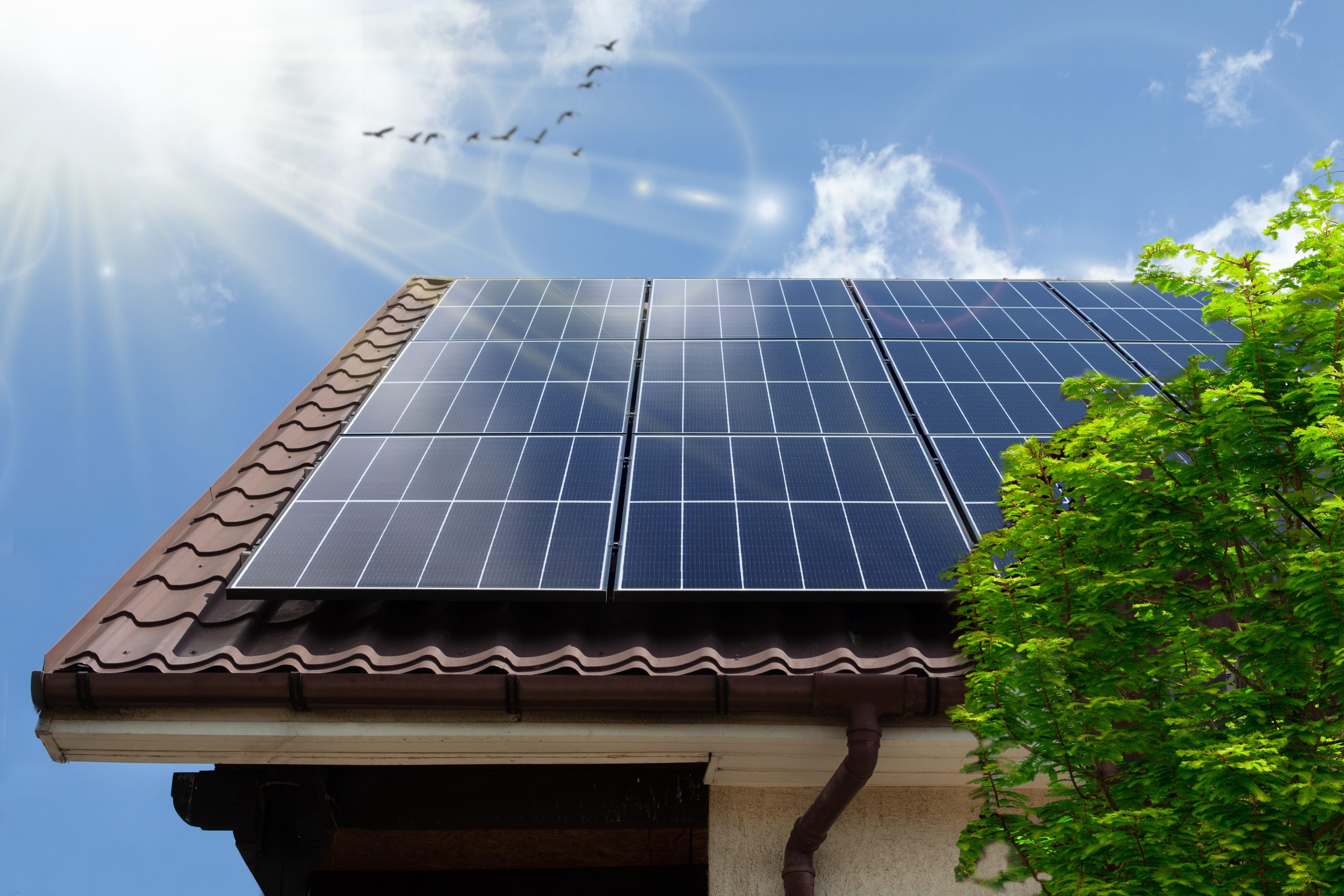 How solar panels increase home value