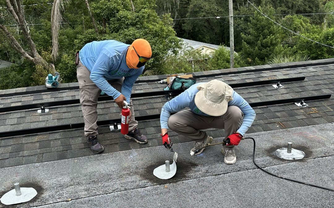 Exploring the Economic Impact of the Booming Solar Industry
