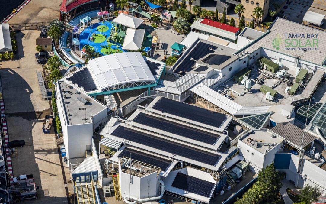 Unexpected Benefits of Solar Power for Your Business in 2024