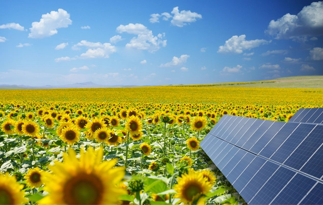 Agricultural-Solar