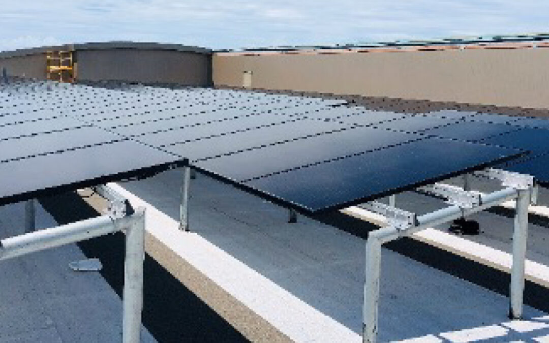 How solar energy helps Florida businesses and not-for-profit organizations cut costs and gain stability 