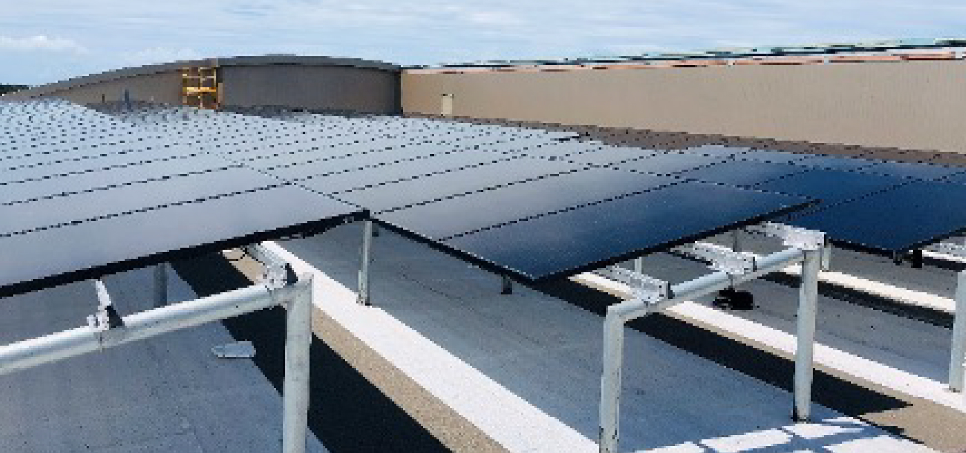 How solar energy helps Florida businesses