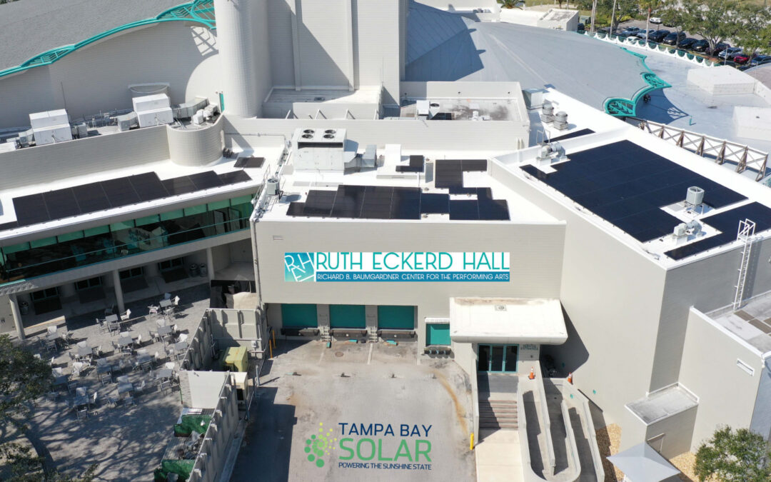 Why commercial solar is your best hedge against rising energy costs