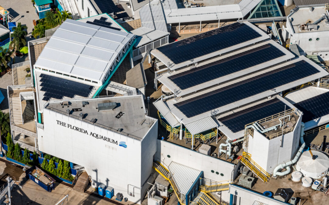 Top Reasons Every Nonprofit Should Consider Solar Energy in 2026