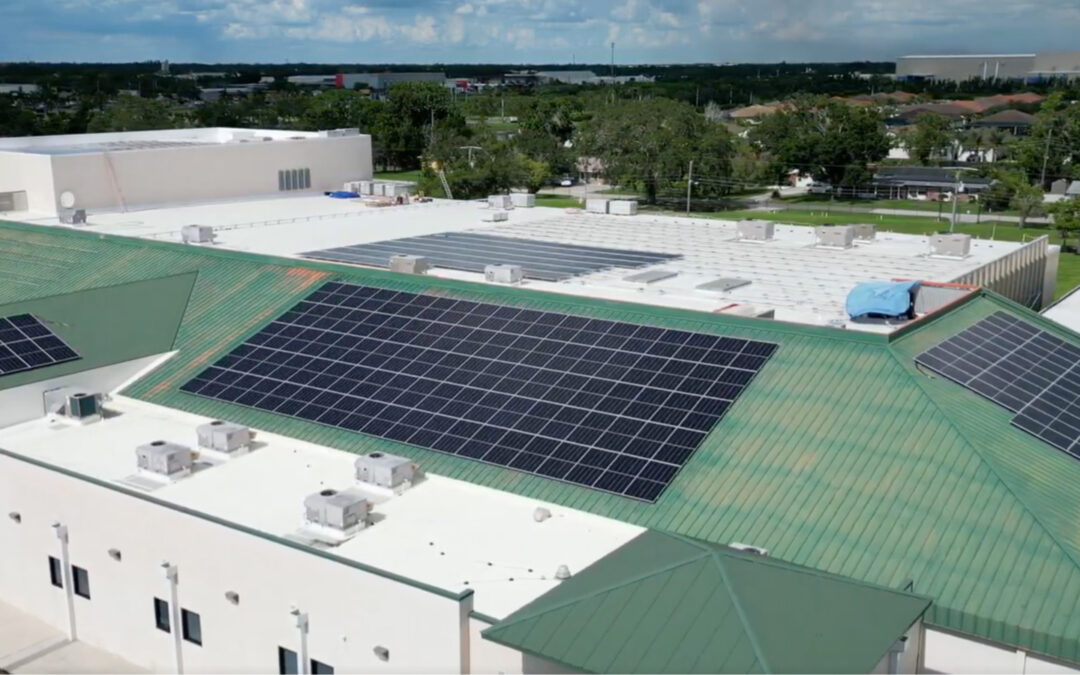 Schools Going Solar: How Educational Institutions Save Millions on Energy