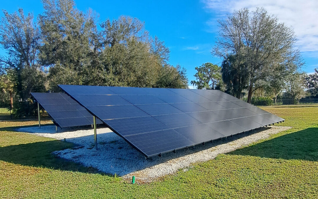 How Solar Energy is transforming agriculture costs in 2026