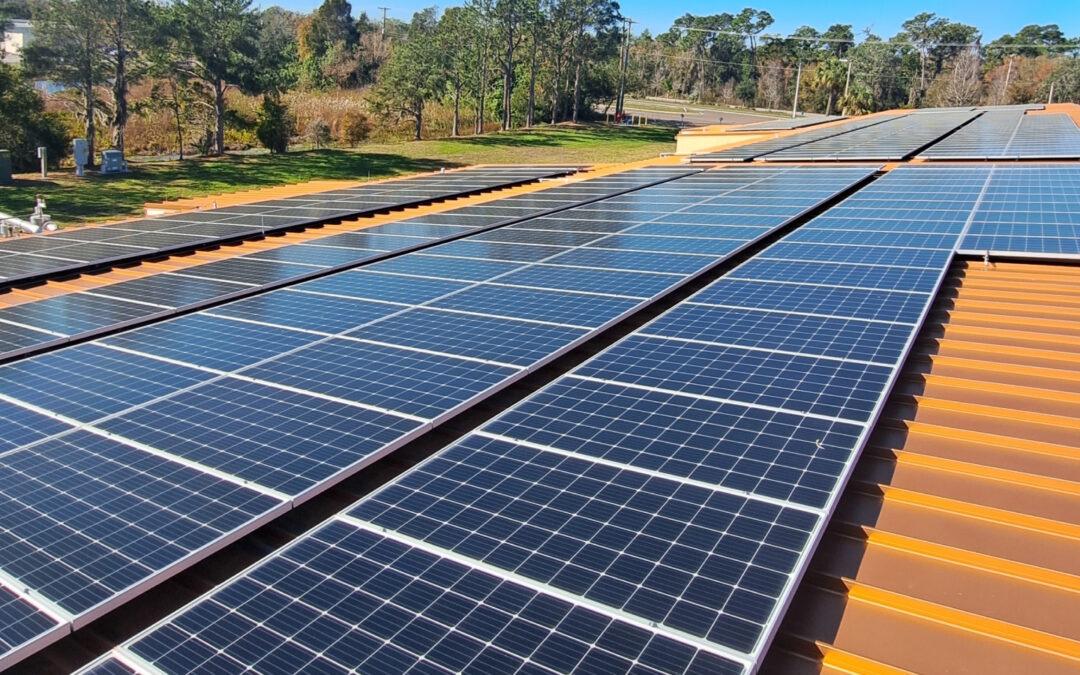 What Size Solar System Is Right for Your Agriculture Business?