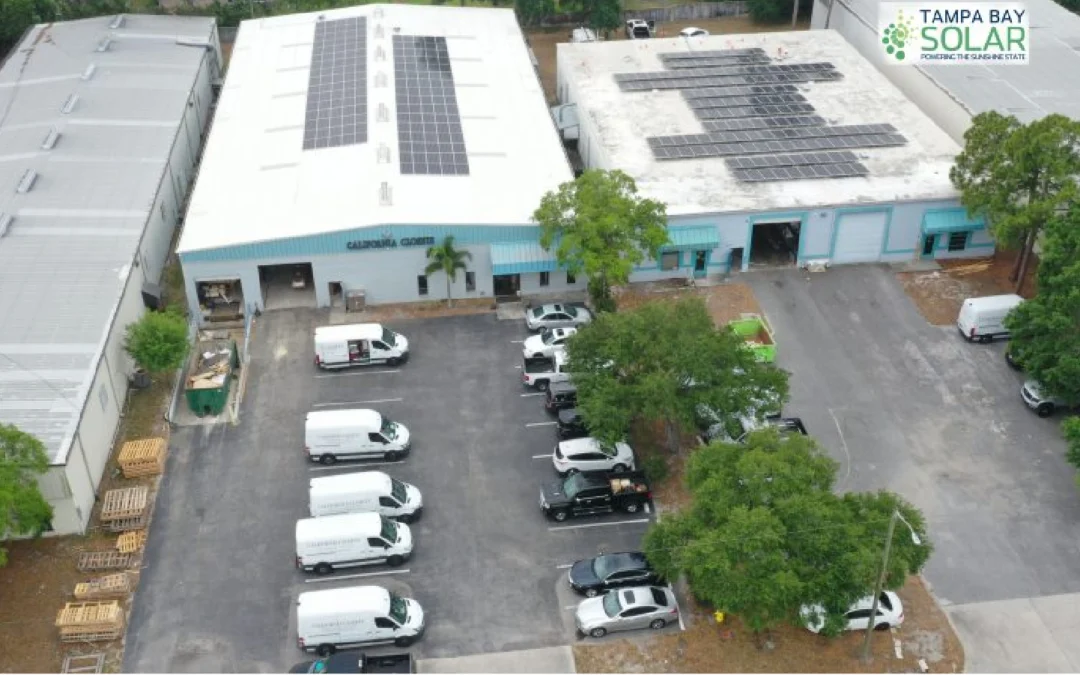 World Environment Day 2026: How Tampa Bay Commercial Solar is leading Florida’s clean business movement