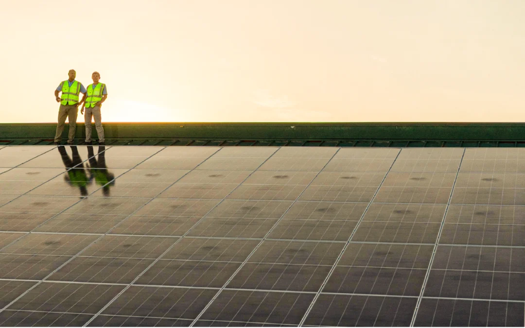 The quality difference: Why Tampa Bay Solar installs only American-made panels on every project
