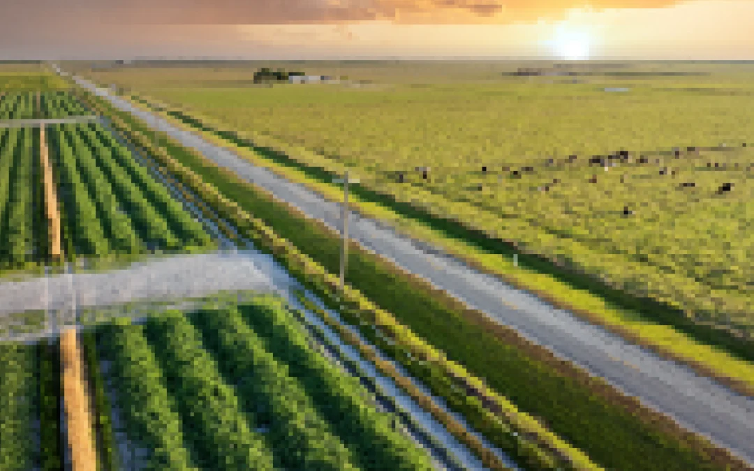 Protecting your harvest: Why Florida farms need solar resilience before the next hurricane hits