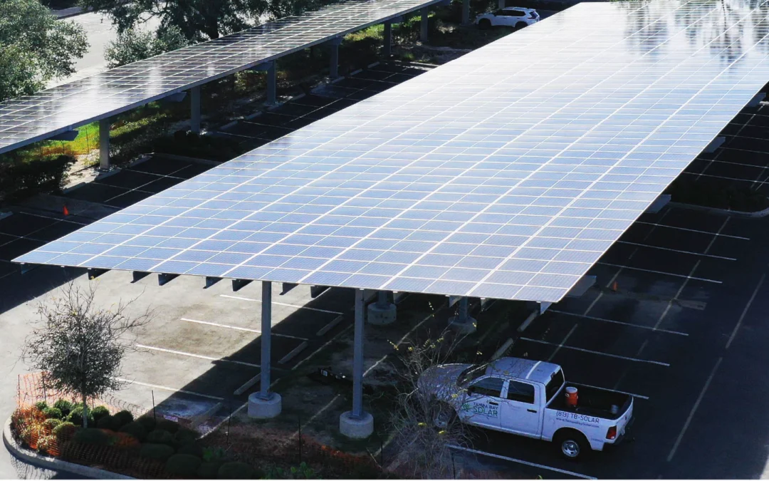 Why Florida’s industrial operations are choosing solar to cut costs and win more business