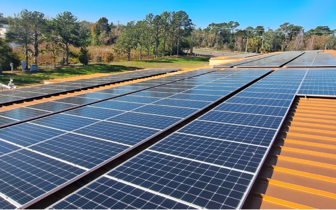 Double the return: How agricultural solar grows your land value and cuts energy costs